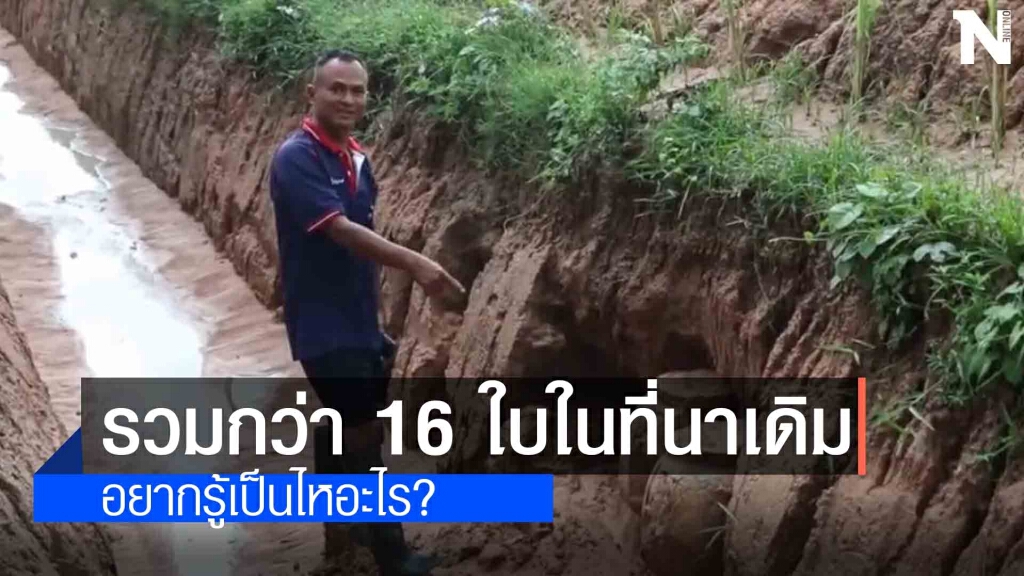 ชาวบ้านผงะขุดดินเจอไหโบราณอายุกว่า 300  ปี