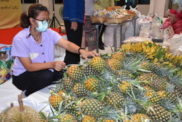 ขนสินค้าเกษตร-ตอบแทนบุคลากรทางการแพทย์