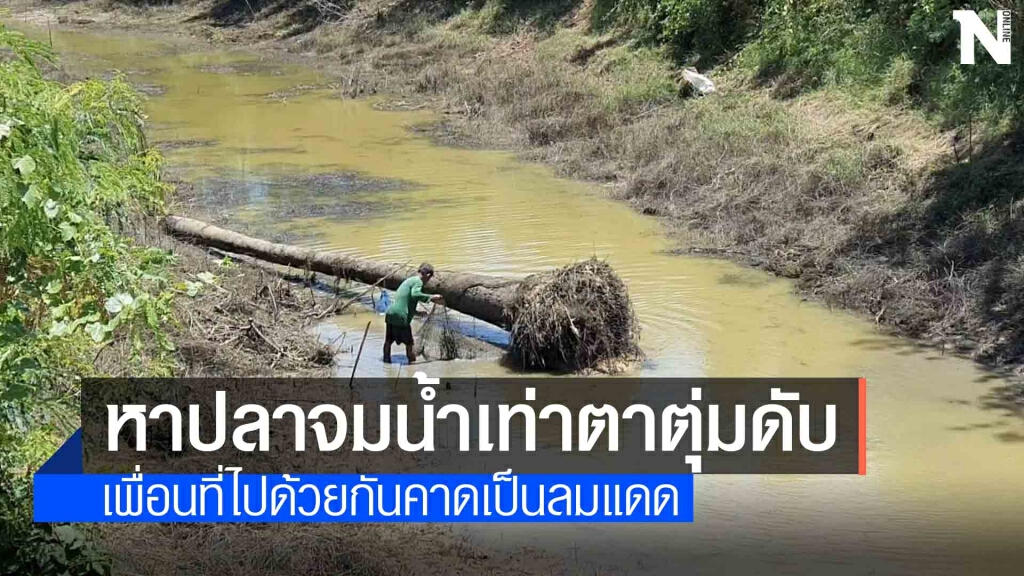 ตาวัย 65 ปีเป็นลมหน้ามืดจมน้ำลึกแค่ตาตุ่มเสียชีวิต ตาวัย 65 ปีเป็นลมหน้ามืดจมน้ำลึกแค่ตาตุ่มเสียชีวิต