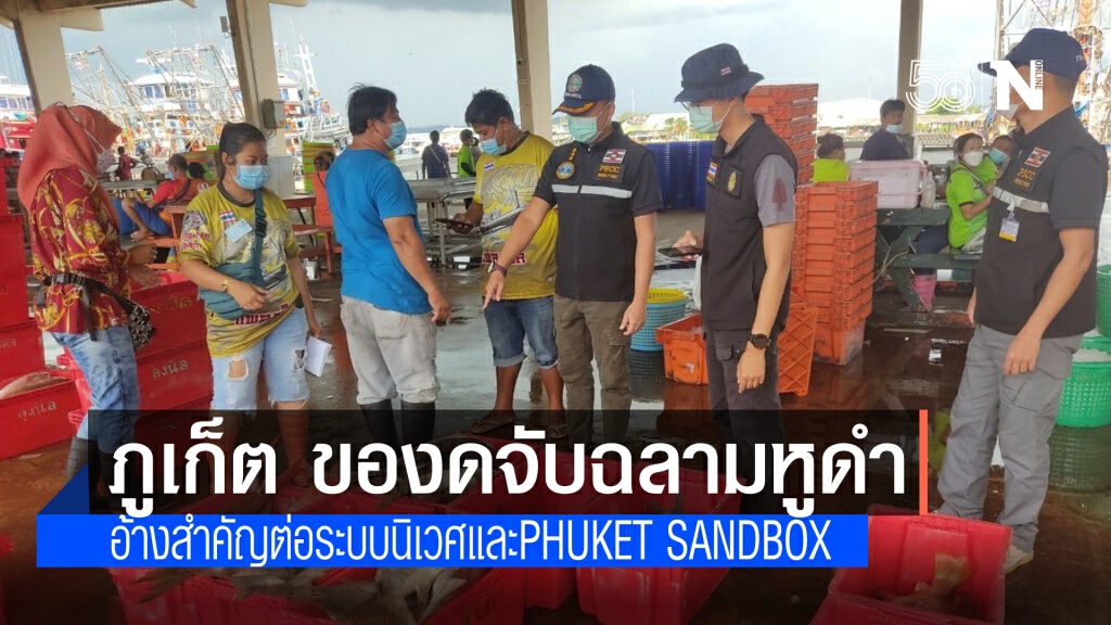 ภูเก็ต ตรวจสอบปลาฉลามหูดำ พบติดเบ็ดราวประมงพื้นบ้าน ขอความร่วมมืองดจับ เพราะสำคัญต่อระบบนิเวศ