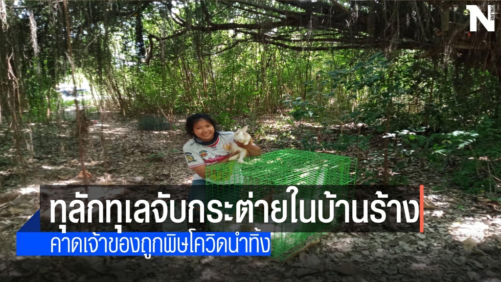 ถูกพิษโควิด-ทิ้งกระต่ายในบ้านร้าง