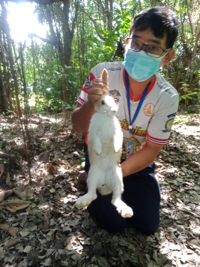 ถูกพิษโควิด-ทิ้งกระต่ายในบ้านร้าง