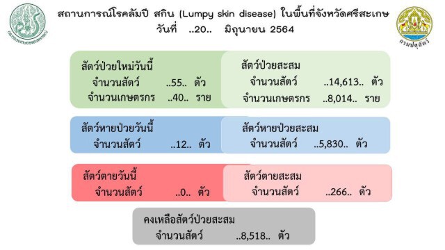 วัวป่วยลัมปีสกิน14,613 ตัว ปศุสัตว์เร่งสำรวจ ยืนยันเยียวยาทุกตัว