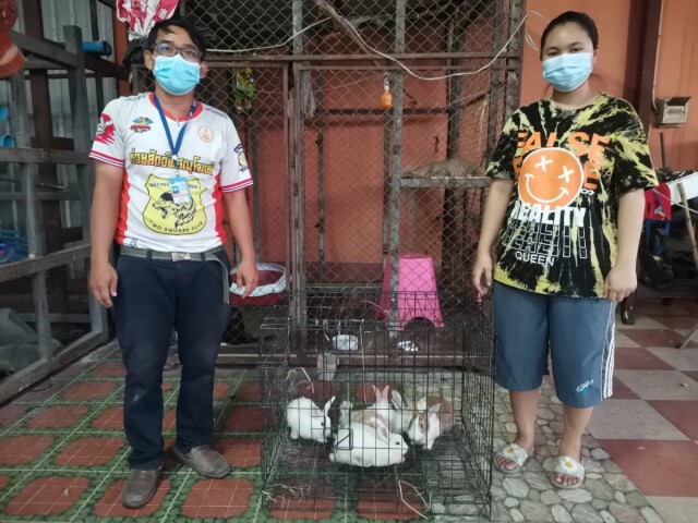 ถูกพิษโควิด-ทิ้งกระต่ายในบ้านร้าง