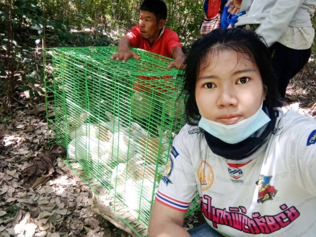 ถูกพิษโควิด-ทิ้งกระต่ายในบ้านร้าง