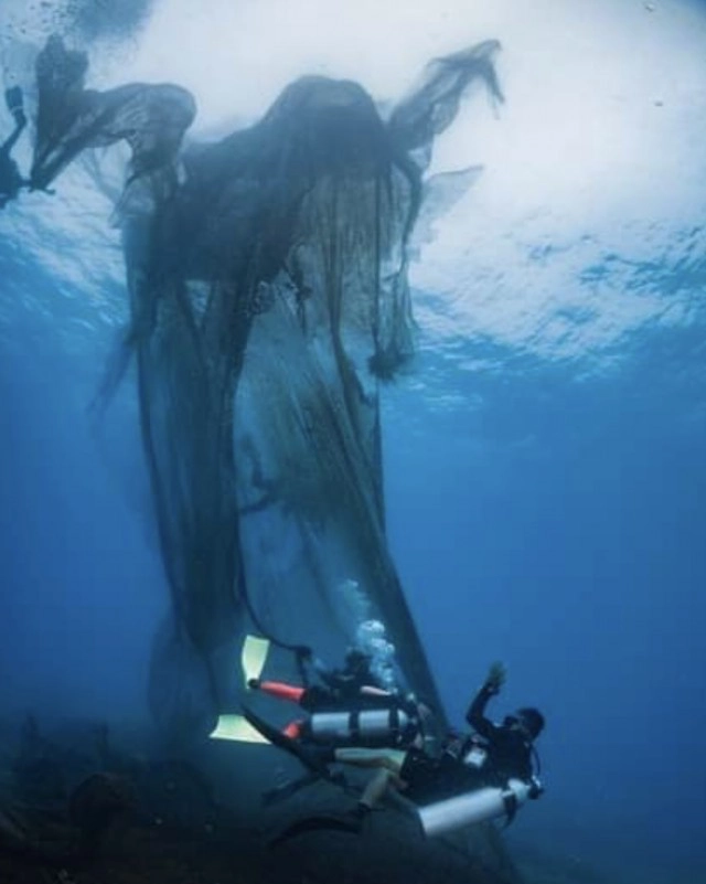 ทส.เคลียร์อวนยักษ์ติดปะการัง เกาะโลซิน