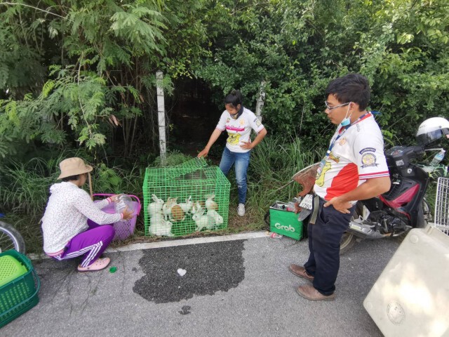 ถูกพิษโควิด-ทิ้งกระต่ายในบ้านร้าง