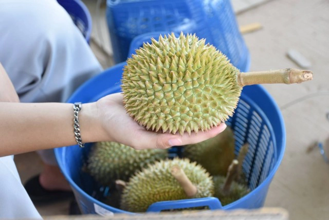 นศ.หนุ่มจัดเซ็ต"หลงลับแล"ราคาตะมุตะมิ