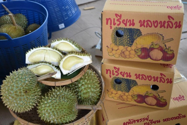 นศ.หนุ่มจัดเซ็ต"หลงลับแล"ราคาตะมุตะมิ