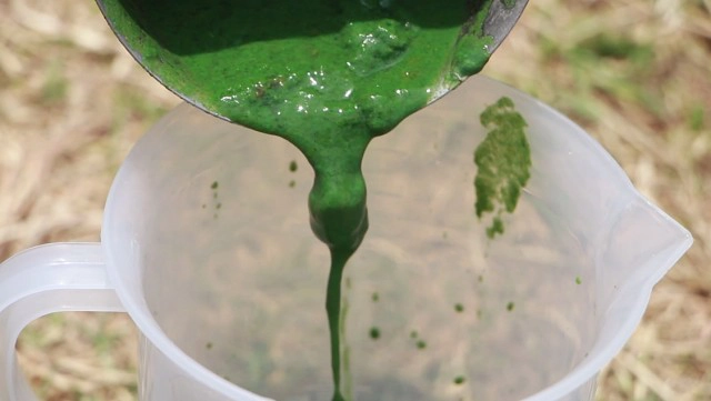 สงสารไดโนเสาร์!!!เร่งแก้ปัญหาน้ำเน่าบึงหนองโคตร