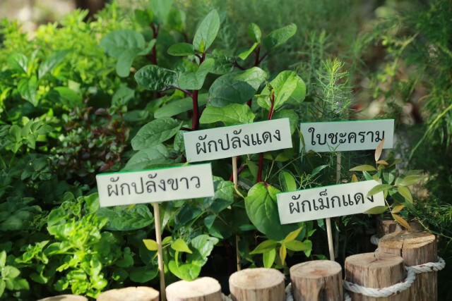 เกษตรเร่งรัดโครงการ 1 ตำบล 1 กลุ่มเกษตรทฤษฎีใหม่ ดันให้เสร็จตามเป้า