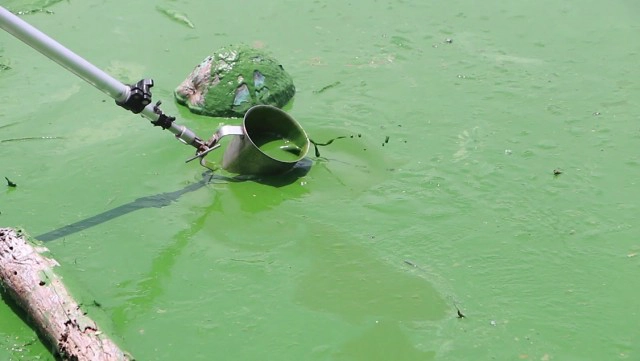 สงสารไดโนเสาร์!!!เร่งแก้ปัญหาน้ำเน่าบึงหนองโคตร