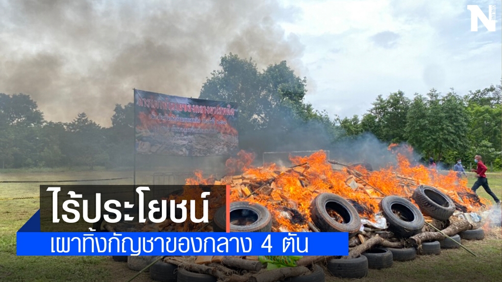 เผาทำลายกัญชาสิ้นสุดคดีกว่า 4 ตัน