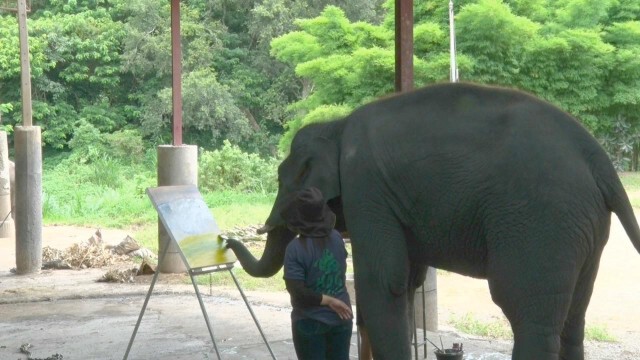 "ช้างธันวา"เขียนรูปประมูล-หาเงินช่วย"พลายดัมโบ้"