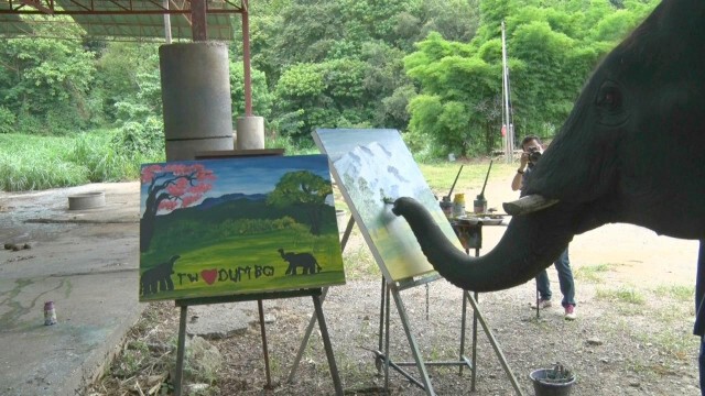 "ช้างธันวา"เขียนรูปประมูล-หาเงินช่วย"พลายดัมโบ้"
