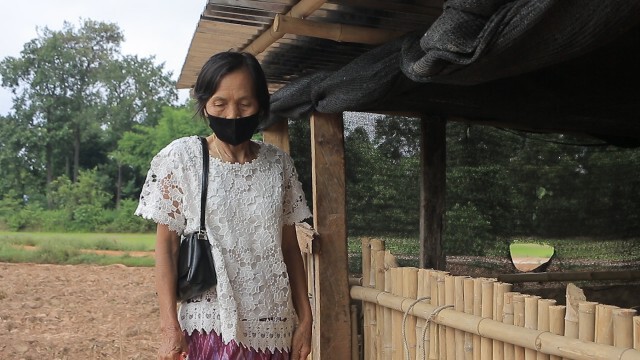 ชาวบ้านผวา ลูกหมู 4 ตัวถูกฆ่าทำเครื่องหมายกากบาท