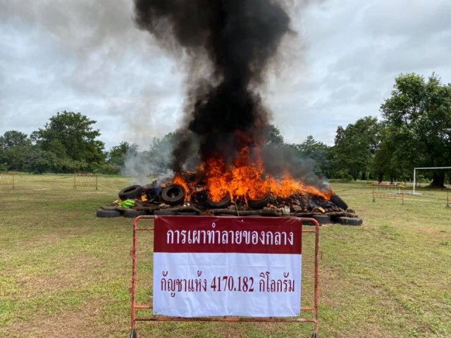 เผาทำลายกัญชาสิ้นสุดคดีกว่า 4 ตัน