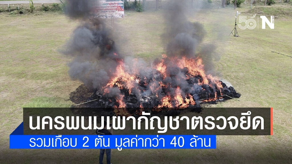 จ.นครพนม เผาทำลายกัญชาตรวจยึด เกือบ 2 ตัน มูลค่ากว่า 40 ล้านบาท