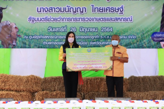 รมช.เกษตรประกาศเขตโรคระบาดลัมปี สกิน