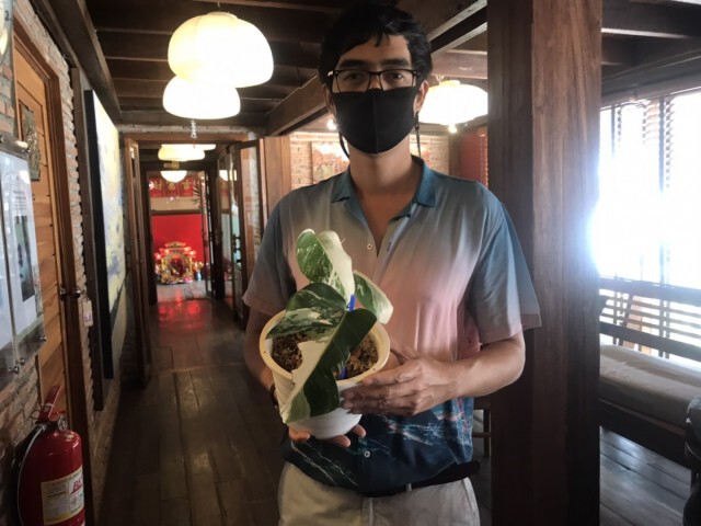 ประกาศล่าหัวขโมยขับเก๋งขโมยต้นไม้มูลค่าหลักแสน