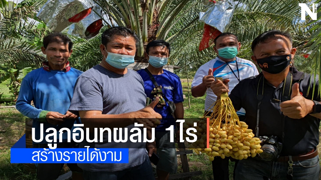 พลิกฟื้นผืนนา 1 ไร่ ปลูกอินทผลัมขายกิโลกรัม 200