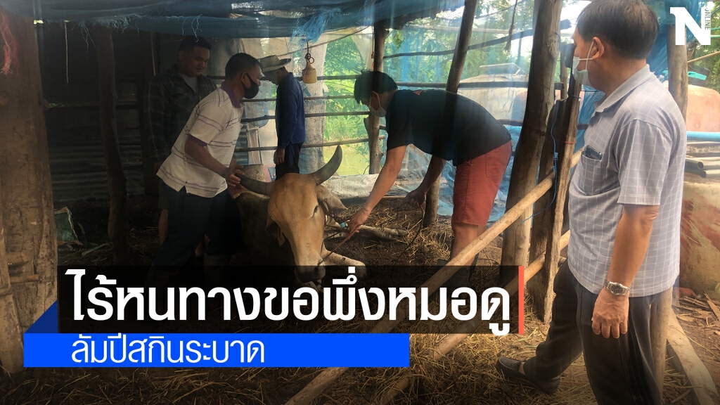 ลัมปีสกินระบาดไม่หยุด ชาวบ้านหมดทางออกต้องพึ่งหมอดู