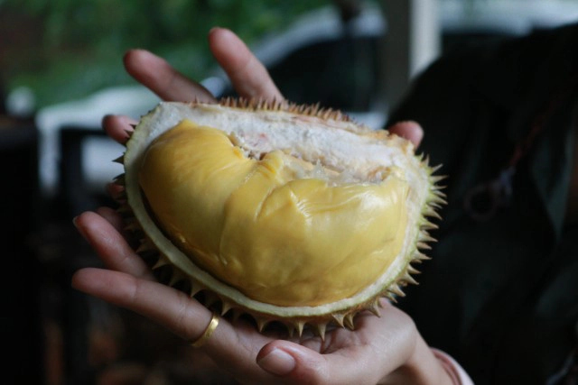 เกษตรกรผุดไอเดีย "ข้าวหลามทุเรียน" สร้างมูลค่า