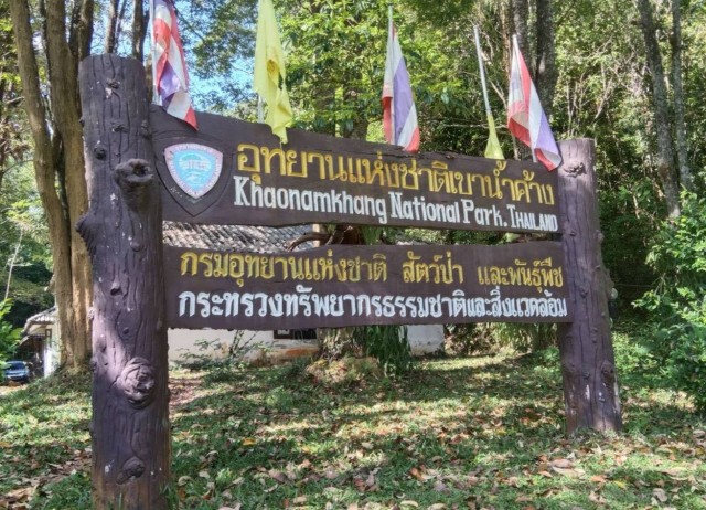 พบ "นกเงือกกรามช้างปากเรียบ" ฝูงใหญ่ในรอบ 20 ปี