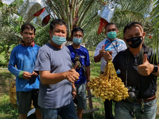 พลิกฟื้นผืนนา 1 ไร่ ปลูกอินทผลัมขายกิโลกรัม 200