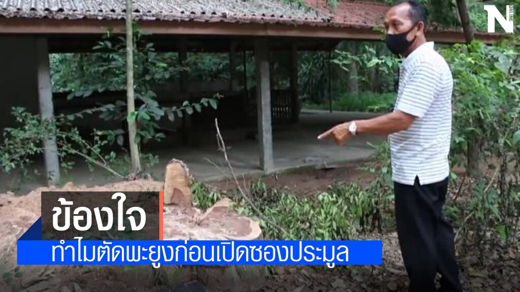 ชาวบ้านขอให้ตรวจสอบ ตัดไม้พะยูงในวัดไม่เป็นไปตามประชาคม ชาวบ้านขอให้ตรวจสอบ ตัดไม้พะยูงในวัดไม่เป็นไปตามประชาคม