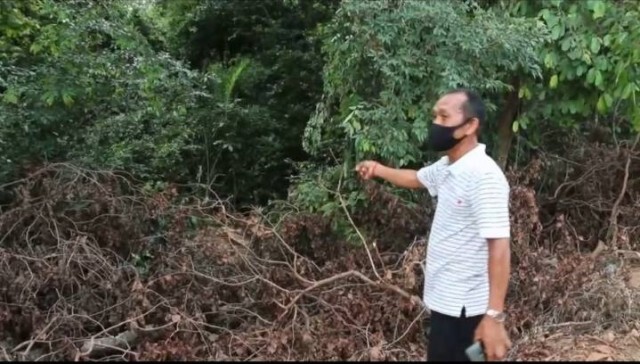 ชาวบ้านขอให้ตรวจสอบ ตัดไม้พะยูงในวัดไม่เป็นไปตามประชาคม