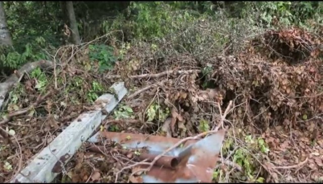 ชาวบ้านขอให้ตรวจสอบ ตัดไม้พะยูงในวัดไม่เป็นไปตามประชาคม
