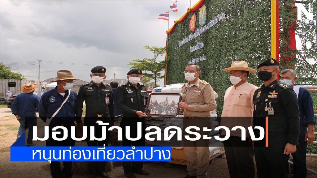 มอบม้าปลดระวาง-หนุนท่องเที่ยวลำปาง มอบม้าปลดระวาง-หนุนท่องเที่ยวลำปาง