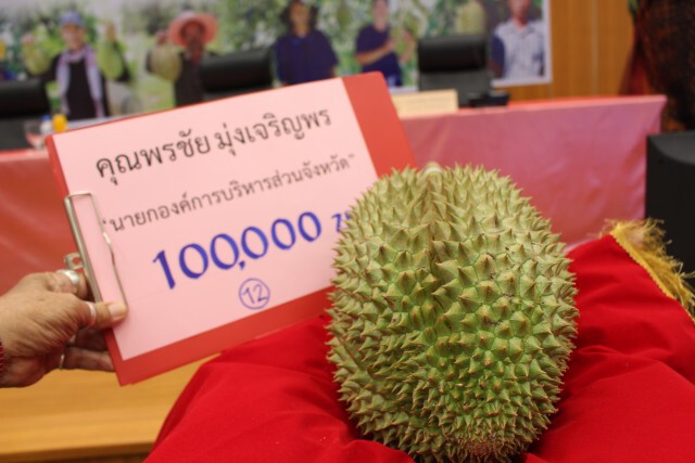 ประมูลทุเรียน "เมืองช้าง" 13 ลูก ยอดรวม 498,000 บาท