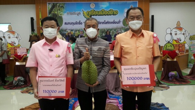 ประมูลทุเรียน "เมืองช้าง" 13 ลูก ยอดรวม 498,000 บาท