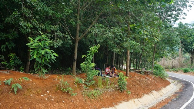 นร.ม้งลงดอยหาคลื่น-เรียนออนไลน์ข้างสวนยาง