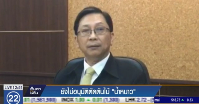 กรมป่าไม้ ยังไม่อนุมัติ
ตัดต้นไม้ ทางขึ้น "น้ำหนาว"
เล็งแจ้งความเอาผิดกรมทางหลวง