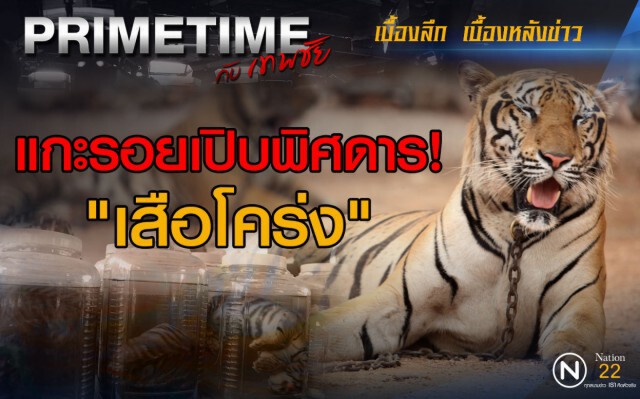 "PRIMETIME กับ เทพชัย" : แกะรอยเปิบพิศดาร! "เสือโคร่ง"