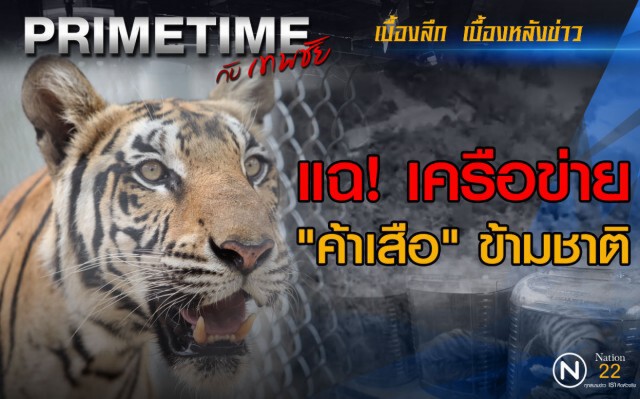 "PRIMETIME กับ เทพชัย" : แฉเครือข่าย ‘ค้าเสือ’ ข้ามชาติ