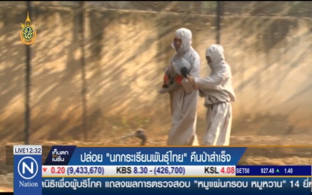ปล่อย "นกกระเรียนพันธุ์ไทย" คืนป่าสำเร็จ