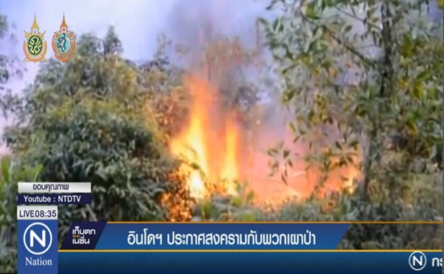 อินโดฯ ประกาศสงครามกับพวกเผาป่า