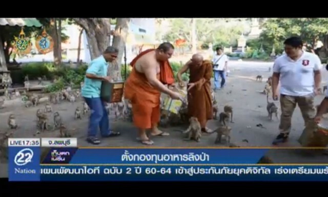 หลวงปู่ทวน เกจิดังจันทบุรี ตั้งกองทุนอาหารลิง