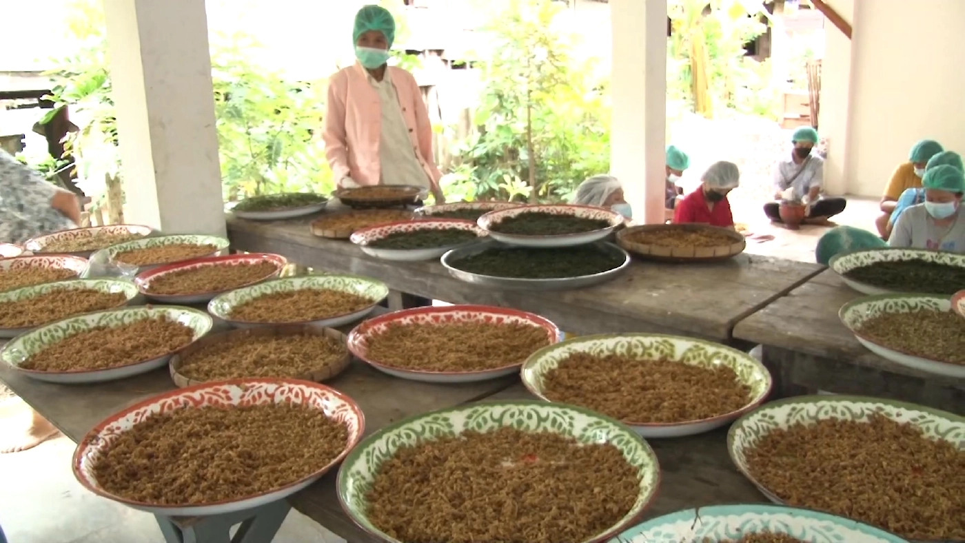 ชาววังเหนือรวมพลังปรุงยาสมุนไพรแจกฟรี-สร้างภูมิสู้โควิด-19