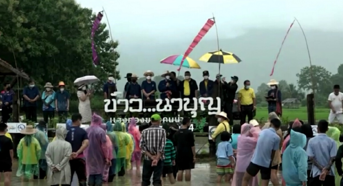 "น่าน"สืบสาน“ลงแขกดำนา”ท่ามกลางมาตรการคุมเข้มโควิด