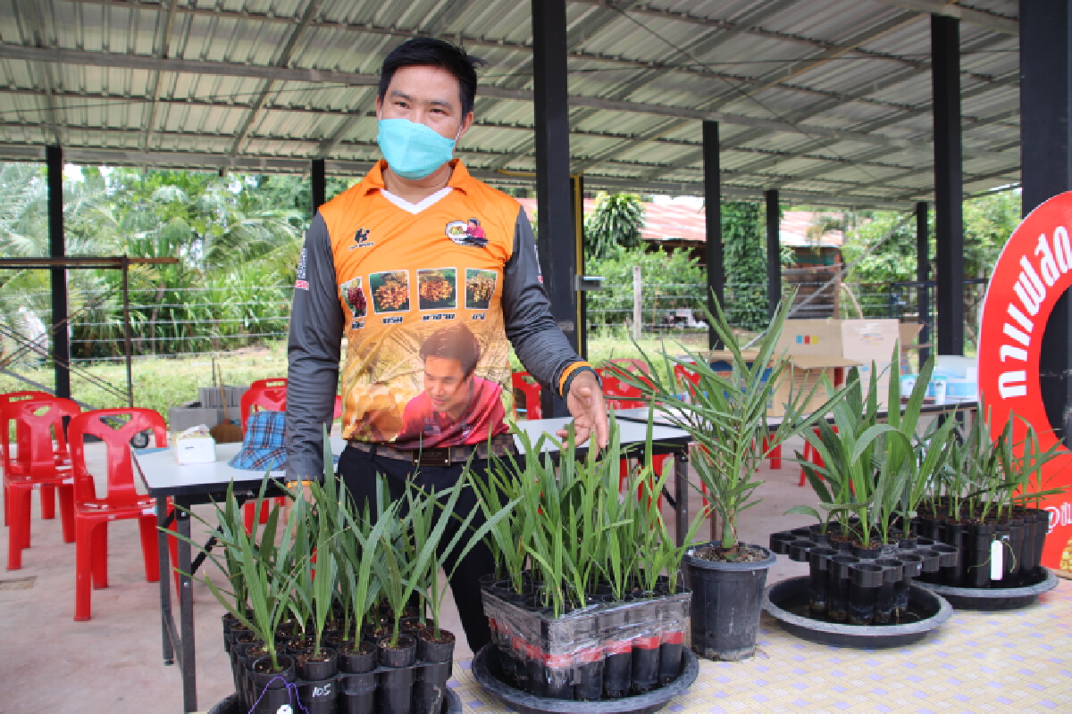 เปิดไร่"อินทผลัม" แลนด์มาร์คใหม่ท่องเที่ยวเชิงเกษตร