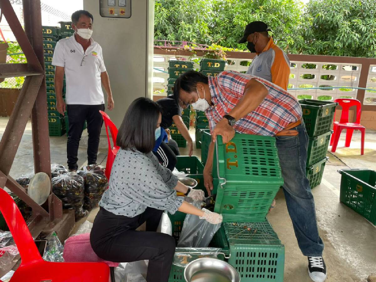 "อุตรดิตถ์"ขายมังคุด-ช่วยเหลือเกษตรกรใต้