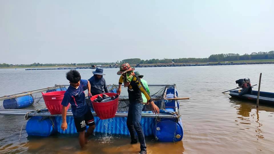 เล็งเปิดตลาดกลางสัตว์น้ำช่วยเกษตรกรขายกุ้งปลาผ่าทางตันช่วงโควิดระบาด
