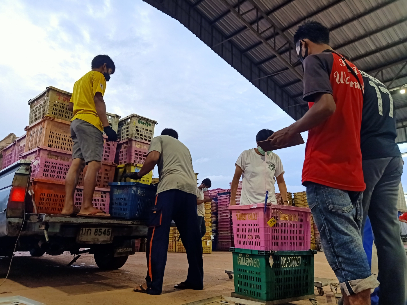 นราธิวาสเปิดศูนย์ฯผลไม้ชายแดนใต้คัดเกรดส่งขายห้างฯดังพื้นที่ล็อกดาวน์