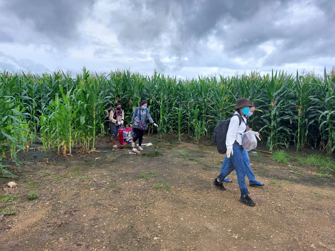 ทหารสกัดจับ10หญิงไทยในป่าข้าวโพด-ลักลอบข้ามแม่น้ำเมย