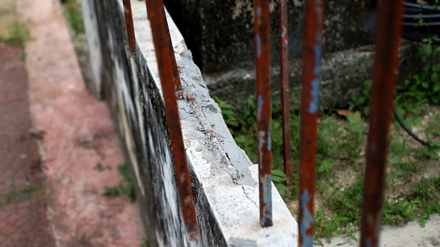 หนีกันจ้าละหวั่น!! ควายหลุดไล่ขวิดคนกลางสี่แยกเมืองนราธิวาส